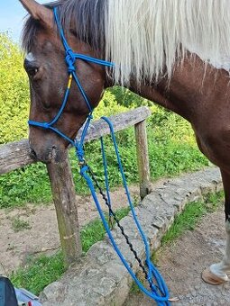 Výcviková sada na Horsemanship