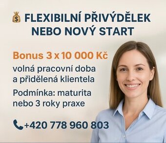 Přivýdělek