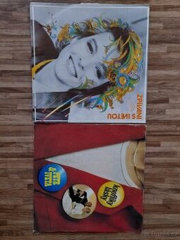 Lp desky Bartošová 2×