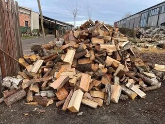 Palivové dřevo