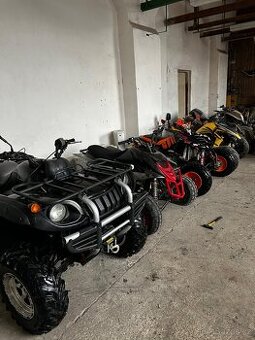 650 Campell Bashan 250