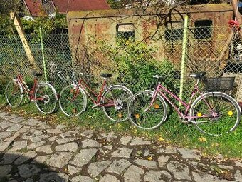 Jízdní kola retro Favorit, Eska