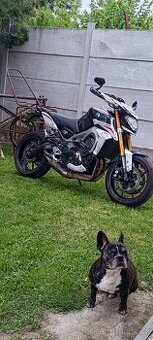Prodám Yamaha MT 09 street rally