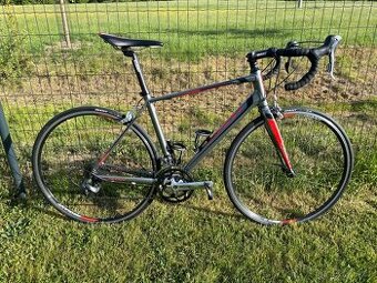 Silnicni kolo Giant