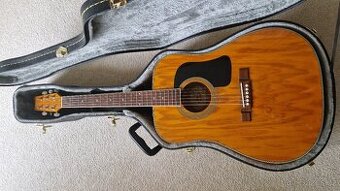 Kytara Washburn