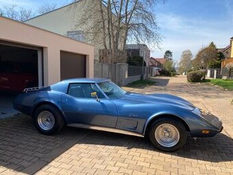 Chevrolet Corvette C 3. 1975 shark