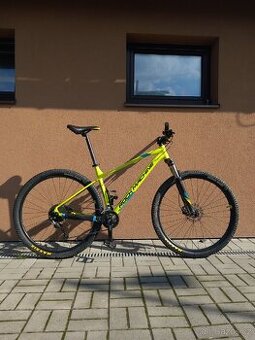 Rockmachine Torent 20 (Vel. L)