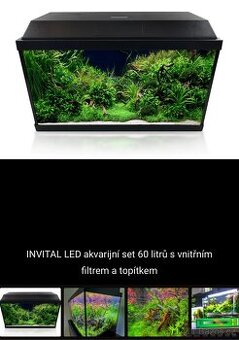 Akvarium 60l