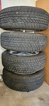 Zimní kola Škoda Rapid