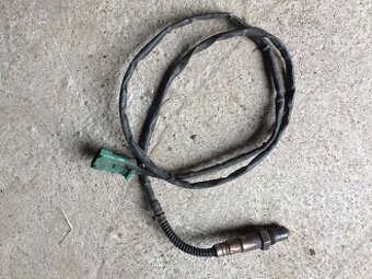 Lambda sonda asi Felicia, Favorit.