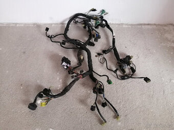 Suzuki Burgman 650 elektrický svazek