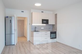 Pronájem byty 1+kk, 32 m² - Praha - Hloubětín, ev.č. N08816