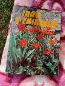 Jaro v zahradě-1980 - 1