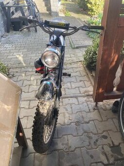 Jawa mustang