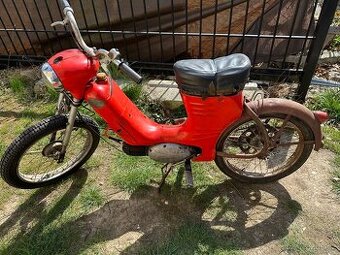 Jawa 50/550 Pařez