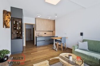 Pronájem, byty/1+kk, 31 m2, Železná 3061/12, Jižní Předměstí