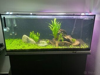 Akvárium 270l