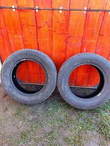 2x Pneu Polaris 2 195/65 R15