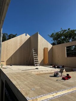 Projektový manažer s výhledem na provozního ředitele firmy