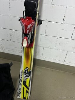 Sportovní lyže Völkl Racetiger Speedwall GS