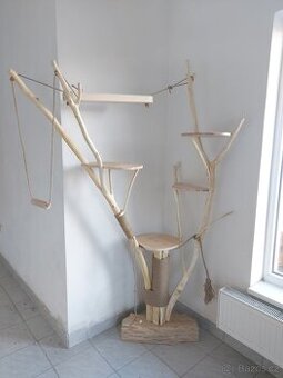 Kočičí strom, škrabadlo.