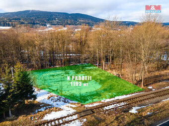 Prodej pozemku určeného k výstavbě, 1193 m², Červená Voda - 1