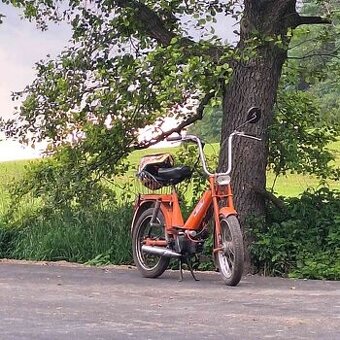 Opravy Babetta, GO motorů a další práce