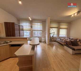 Pronájem bytu 2+kk, 93 m², Plzeň, Hálkova ul.