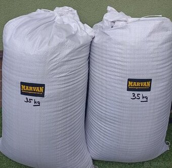 Slunečnice černá ( možnost DOPRAVY )