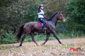 Pasování botek pro koně: