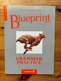 Blueprint 1 - Grammar practice - beginners