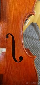 Krásné violoncello - 1