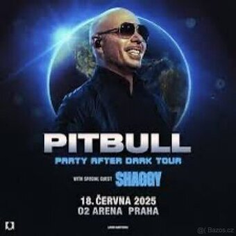 Obrázek k inzerátu: Pitbull Praha 18.6. 2025