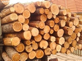 Borovice, palivové dřevo polena v délce 125cm