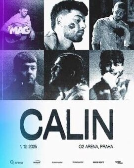 Calin 1.12.2025 - jeden lístek na stání