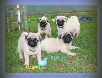 MOPS s PP. - 1
