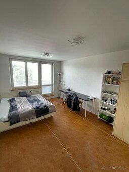 pronájem 1+1, vel. 45m2, Poruba