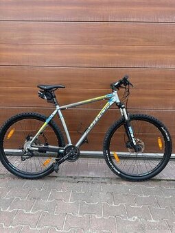 Kolo Author solution 29”