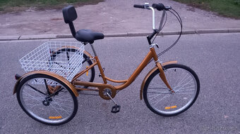 Tříkolka pro dospělé