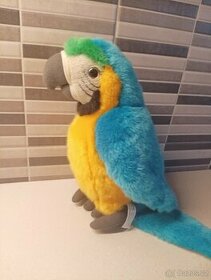 Papoušek Rappa
