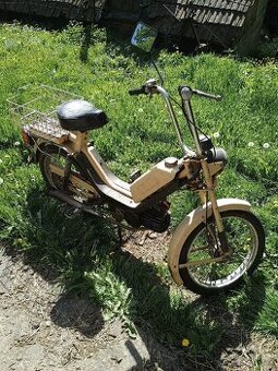 Babeta 210