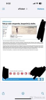 Ludovico Einaudi 29.5. Praha