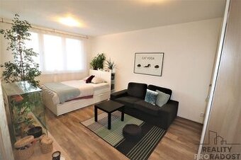 Pronájem rekonstruovaného bytu 1+1 40 m2 Petra Křičky