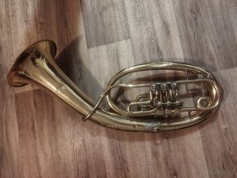 Baskřídlovka - tenor