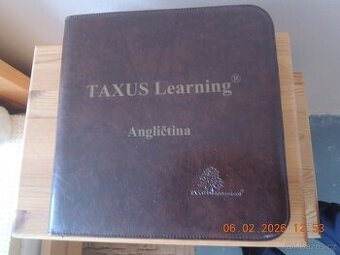 Revoluční výuka angličtiny