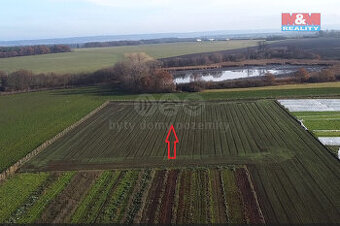 Prodej ovocného sadu, 9979 m², Nové Dvory