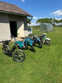 Jawa 250, pionýr, Babeta