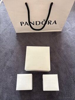 Pandora náramek s přívěsky