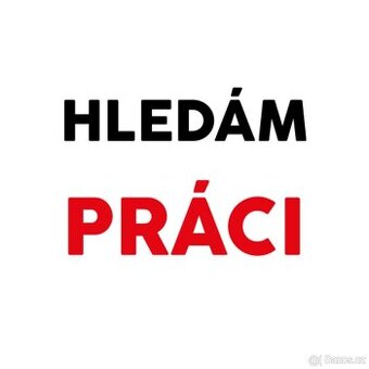 Hledáte pracovníky? My vám je zajistíme