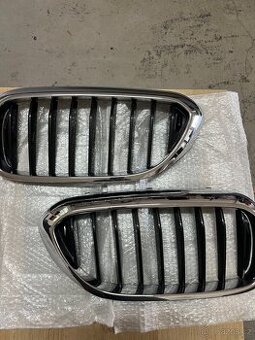 Bmw G30 predni maska (ledvinky)